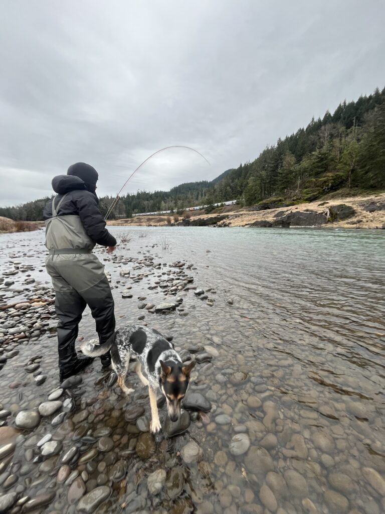 Angler fly fishing from rocky riverbank with dog during Oregon fly fishing trip